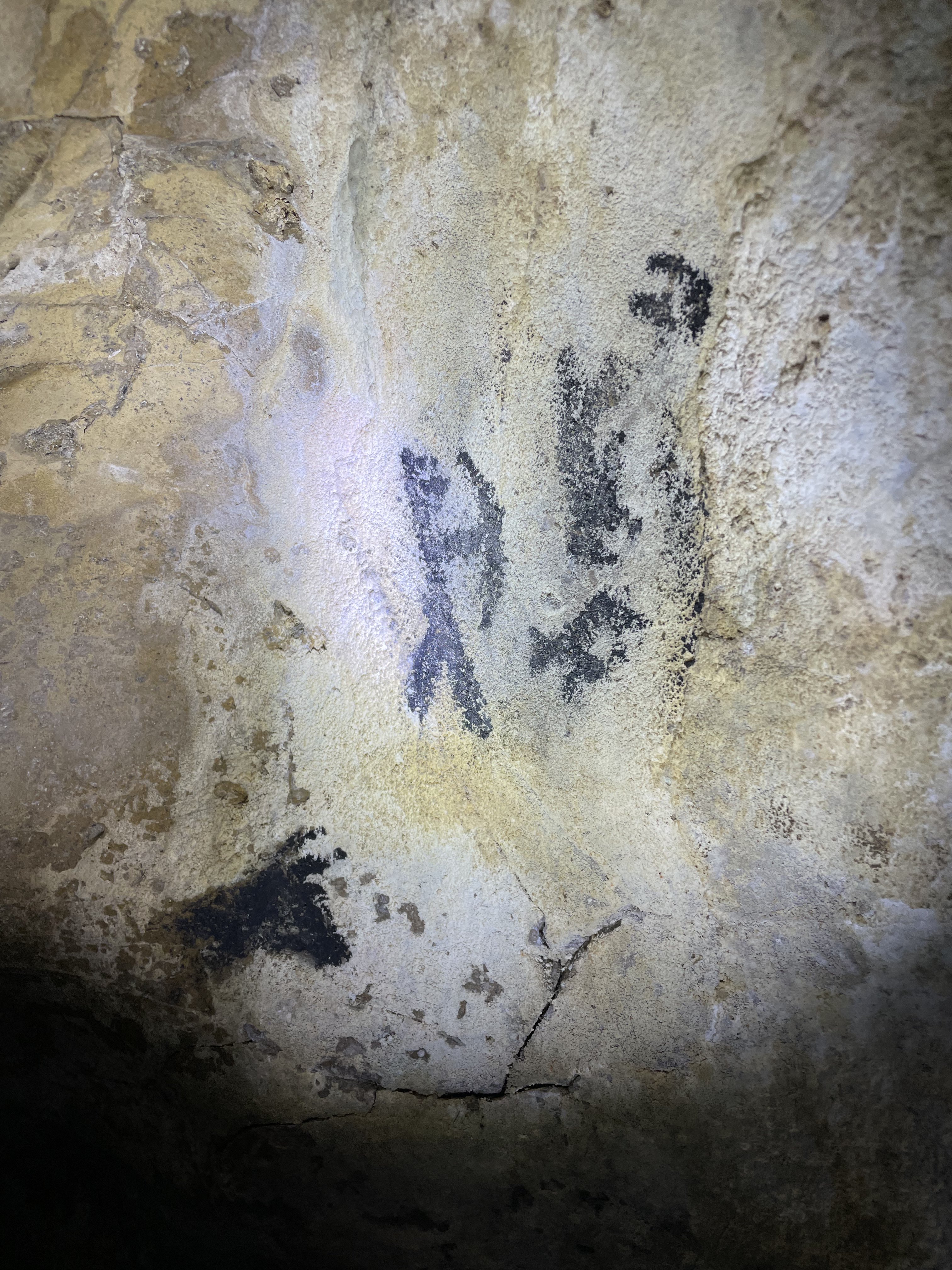 Figuras rupestres negras iluminadas por escáner láser — interior del abrigo rocoso Chogñacota — RESTAURO S.A.C. 2023
