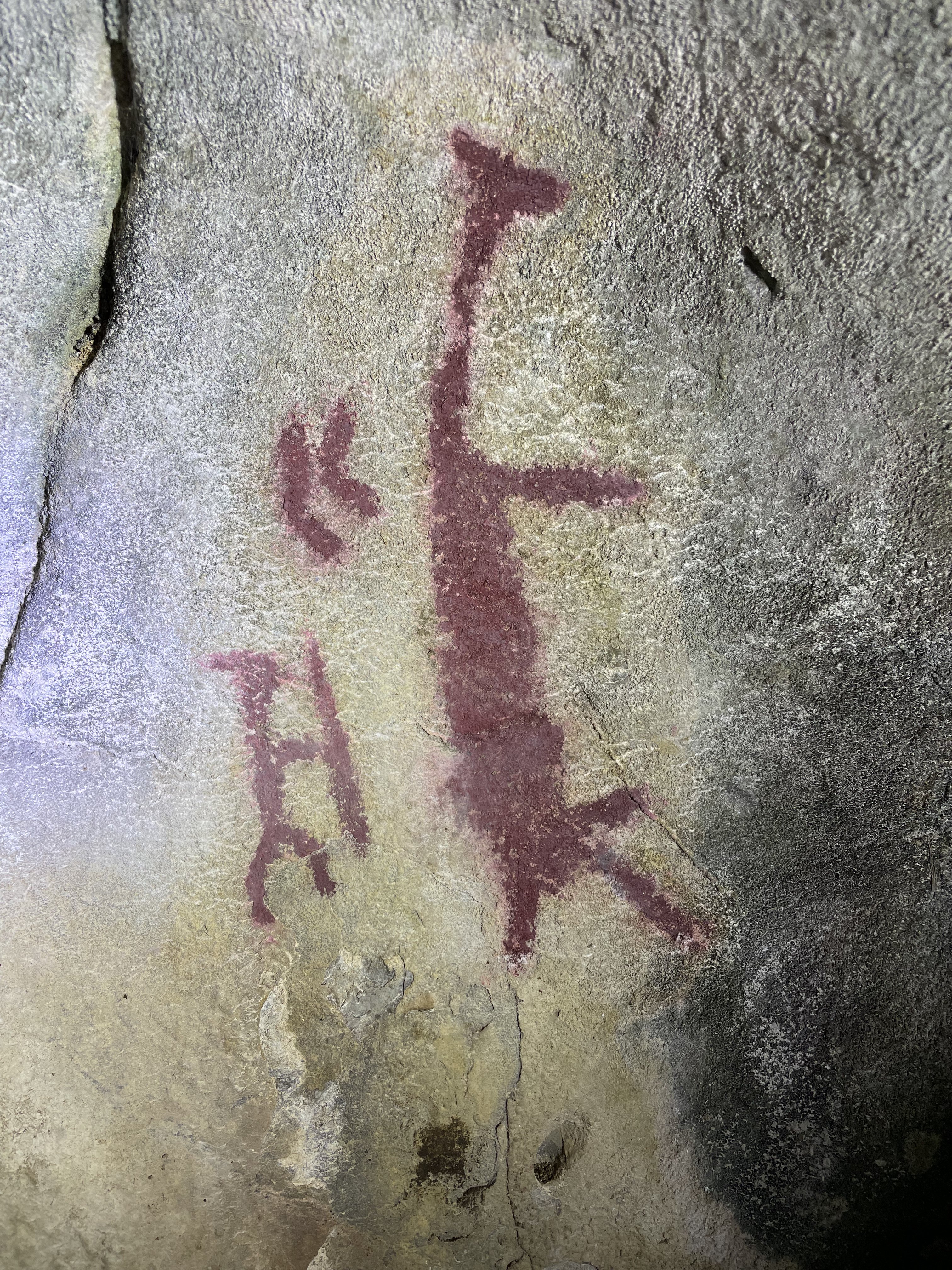 Pinturas rupestres de Chogñacota in situ — figuras de hematita roja en el abrigo rocoso original — Antauta, Puno — registro RESTAURO S.A.C. mayo 2023