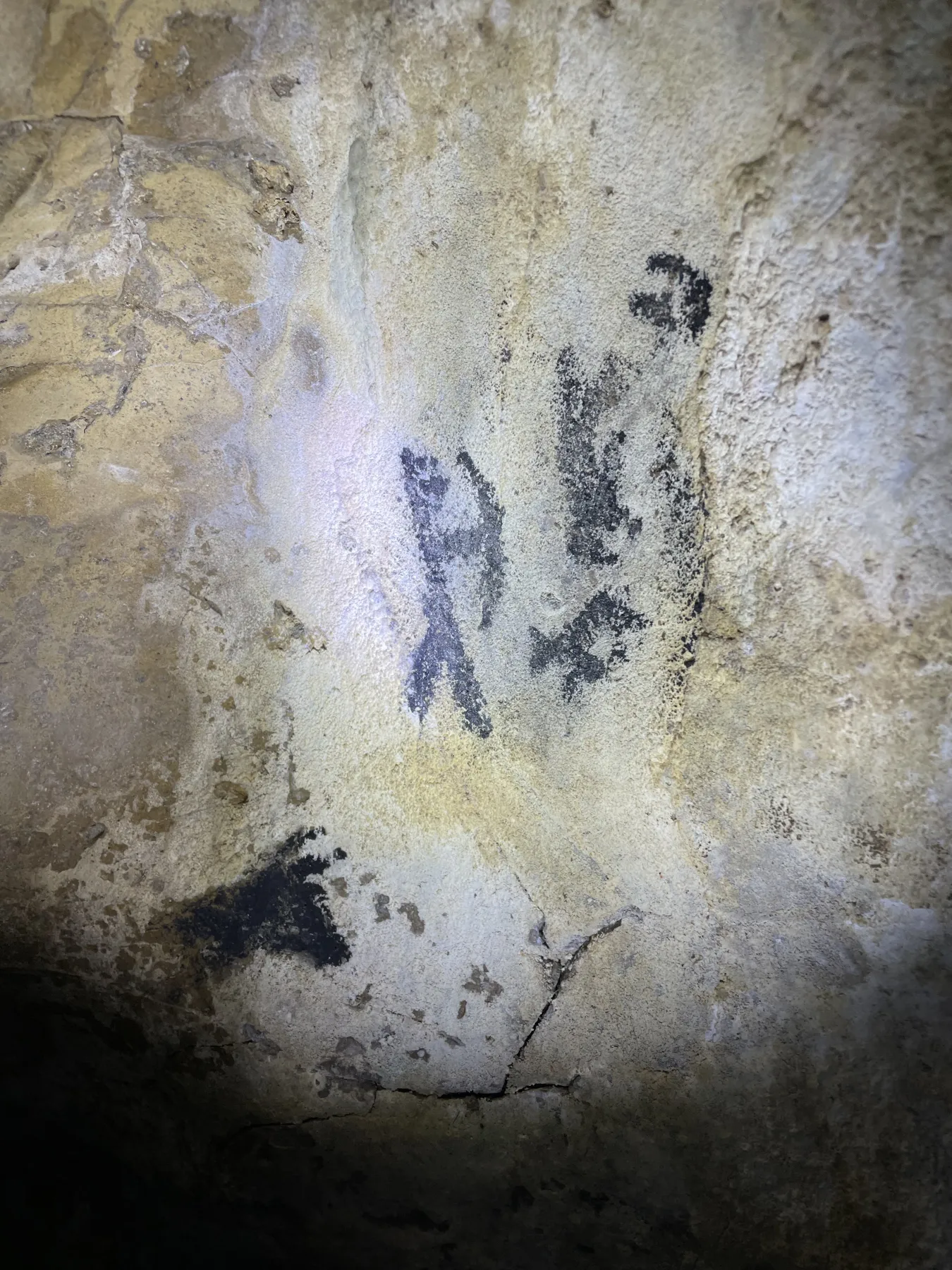 Figuras rupestres negras iluminadas por escáner láser — interior del abrigo rocoso Chogñacota — RESTAURO S.A.C. 2023