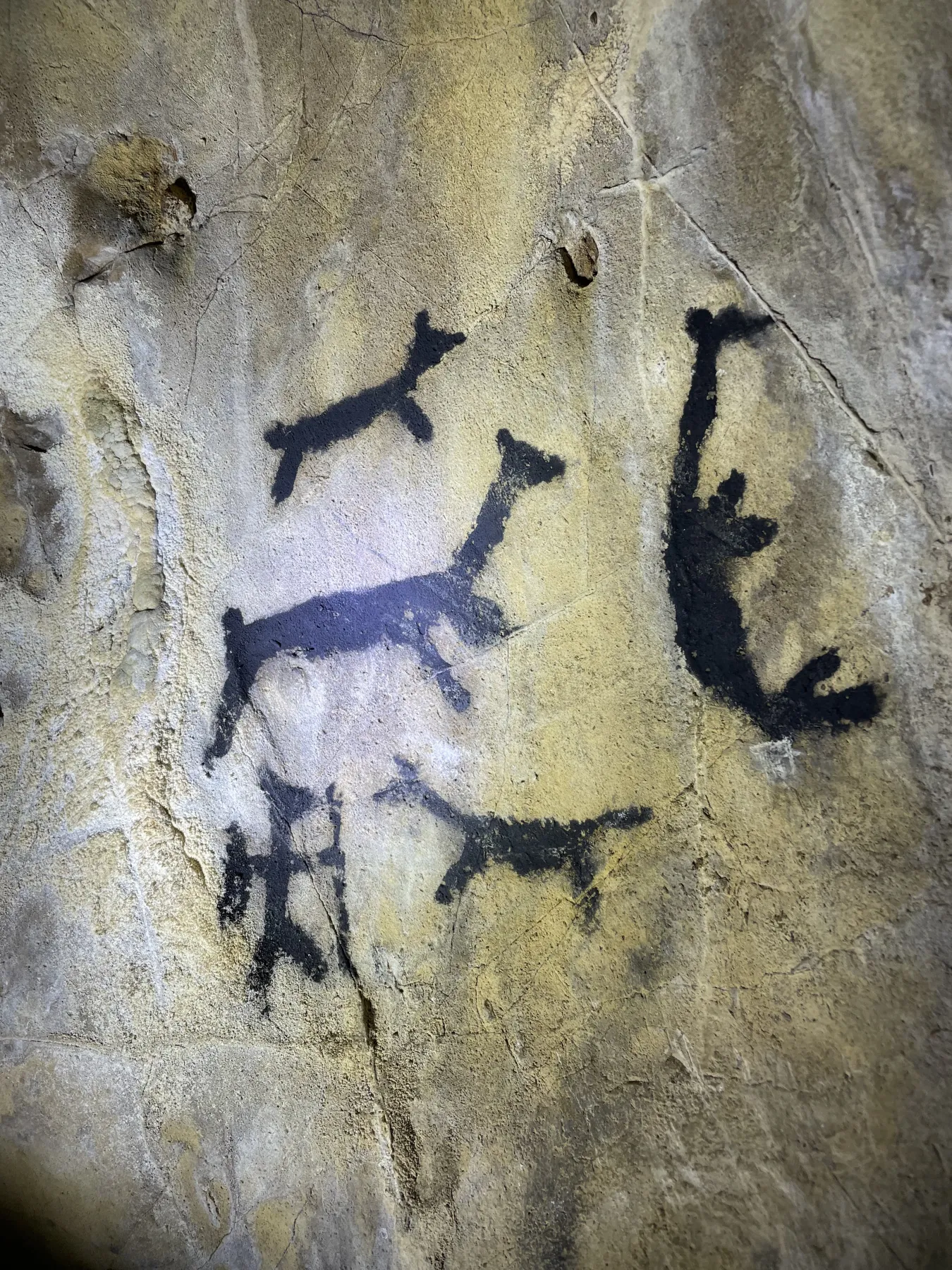 Pinturas rupestres de Chogñacota — figuras de carbón vegetal negro in situ en el abrigo rocoso original — Antauta, Puno — RESTAURO S.A.C.