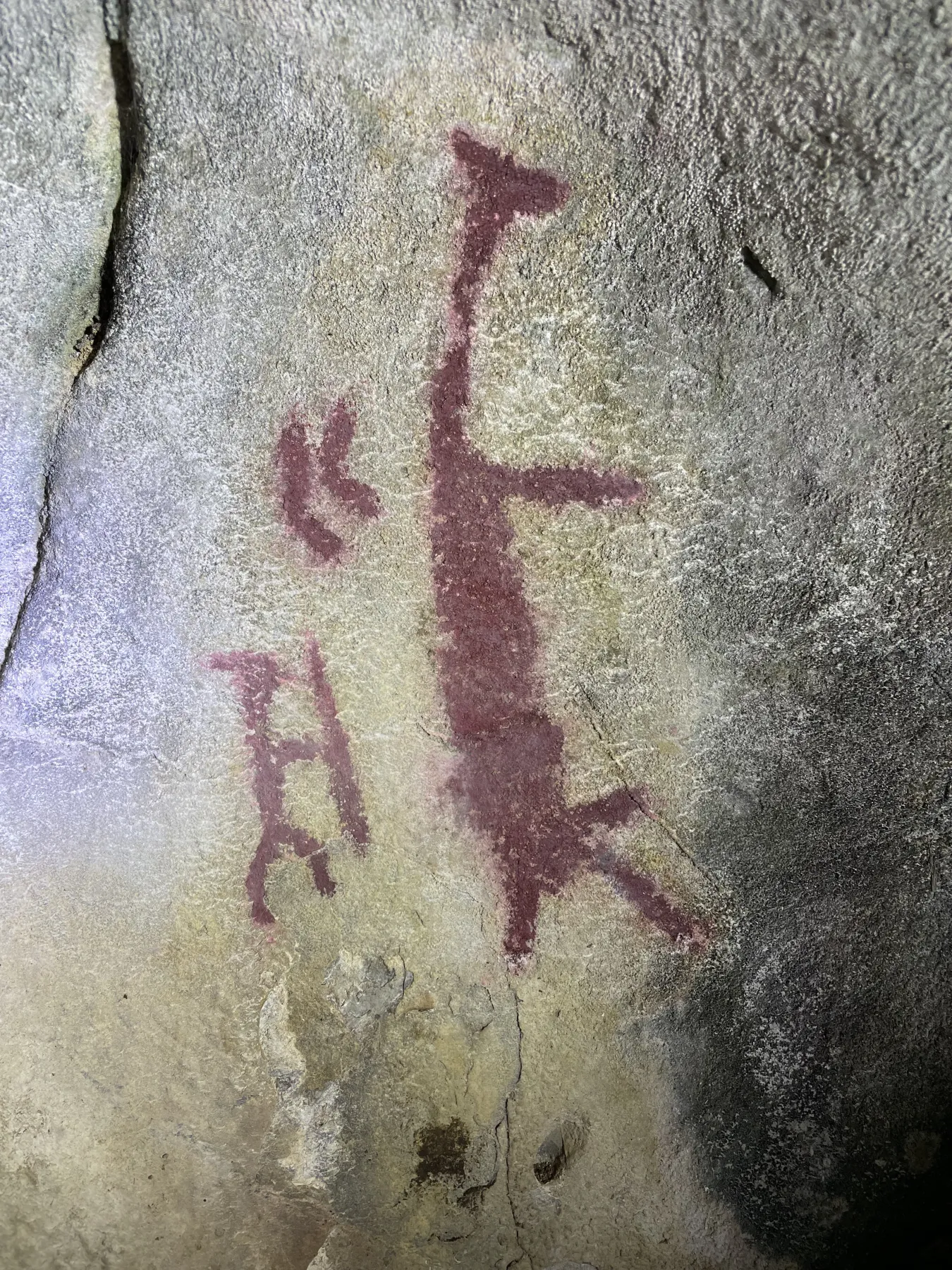 Pinturas rupestres de Chogñacota in situ — figuras de hematita roja en el abrigo rocoso original — Antauta, Puno — registro RESTAURO S.A.C. mayo 2023