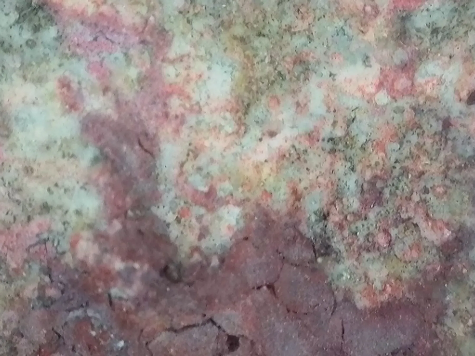 Microfotografía Panel Norte — craquelado y colonización biológica rosa sobre pigmento de hematita — Chogñacota — RESTAURO S.A.C.