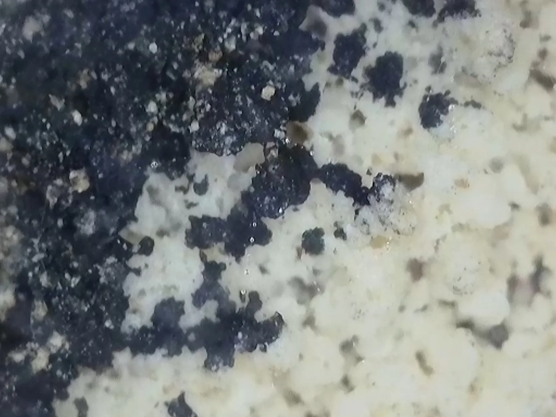 Microfotografía Panel Sur 1 — costra gris-blanca de biodeterioro sobre caliza dolomítica — Chogñacota — RESTAURO S.A.C.