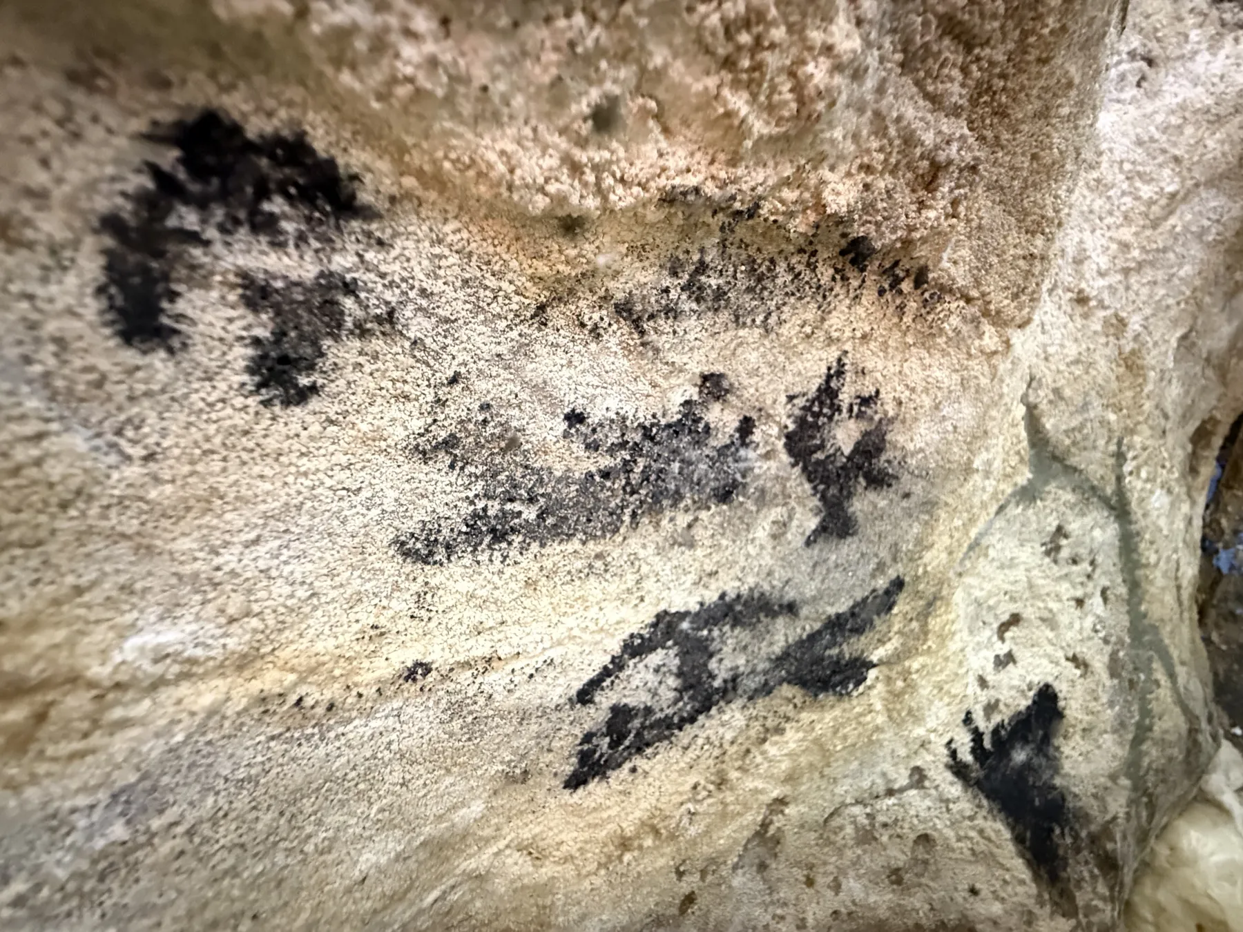 Arte rupestre Chogñacota (Puno) — figuras de carbón vegetal bajo monitoreo microclimático con sensores YOWEXA — RESTAURO S.A.C.